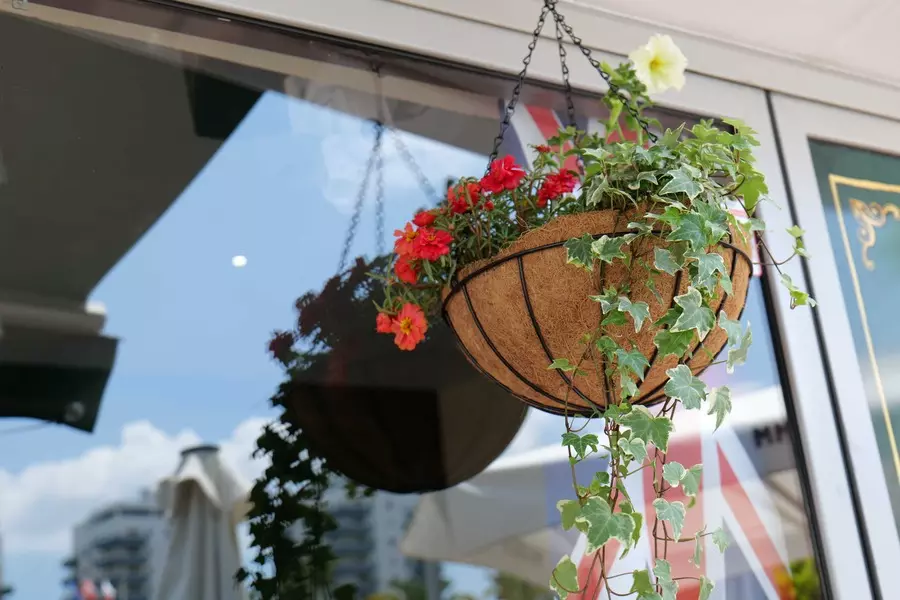 New hanging baskets for the terrace